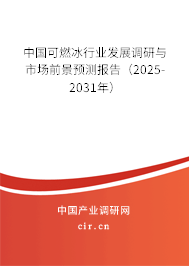 中國(guó)可燃冰行業(yè)發(fā)展調(diào)研與市場(chǎng)前景預(yù)測(cè)報(bào)告（2024-2030年）