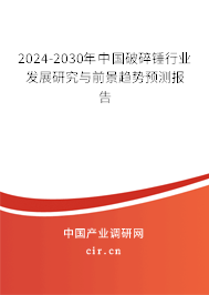 2024-2030年中國破碎錘行業發展研究與前景趨勢預測報告