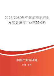 2025-2030年中國原電池行業(yè)發(fā)展調(diào)研與行業(yè)前景分析