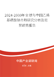 2024-2030年全球與中國乙烯基磺酸鈉市場研究分析及前景趨勢報告