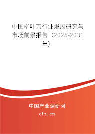 中國柳葉刀行業發展研究與市場前景報告（2024-2030年）