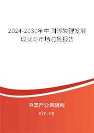 2024-2030年中國碳酸鋰發展現狀與市場前景報告