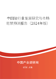 中國鈹行業發展研究與市場前景預測報告（2024年版）