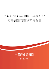 2024-2030年中國工具鋼行業發展調研與市場前景報告