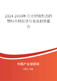 2024-2030年河北初級形態的塑料市場現狀與發展趨勢報告