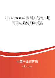 2024-2030年貴州天然氣市場調研與趨勢預測報告