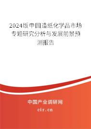 2024版中國造紙化學品市場專題研究分析與發展前景預測報告