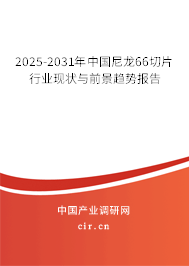 2025-2031年中國尼龍66切片行業現狀與前景趨勢報告