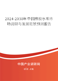 2024-2030年中國橡膠水壩市場調研與發展前景預測報告