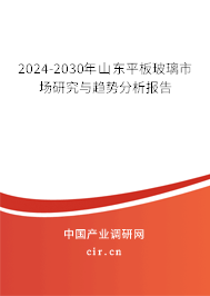 2024-2030年山東平板玻璃市場研究與趨勢分析報告