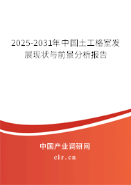 2025-2031年中國土工格室發展現狀與前景分析報告