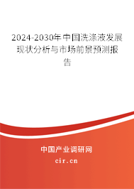 2024-2030年中國洗滌液發展現狀分析與市場前景預測報告