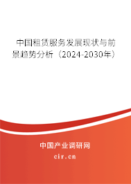 中國租賃服務發(fā)展現(xiàn)狀與前景趨勢分析（2024-2030年）