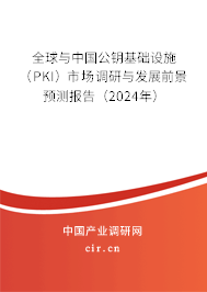 全球與中國公鑰基礎(chǔ)設(shè)施（PKI）市場調(diào)研與發(fā)展前景預(yù)測報告（2024年）