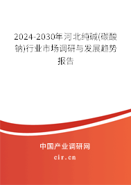 2024-2030年河北純堿(碳酸鈉)行業市場調研與發展趨勢報告