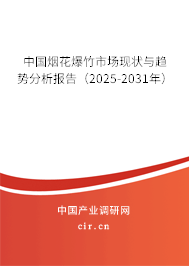 中國煙花爆竹市場現(xiàn)狀與趨勢分析報(bào)告（2025-2031年）