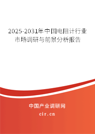 2025-2031年中國(guó)電阻計(jì)行業(yè)市場(chǎng)調(diào)研與前景分析報(bào)告