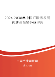 2024-2030年中國IT服務發展現狀與前景分析報告