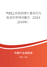 中國工具鋼鋼球行業研究與發展前景預測報告（2024-2030年）