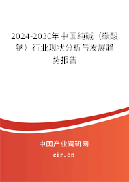 2024-2030年中國純堿（碳酸鈉）行業現狀分析與發展趨勢報告