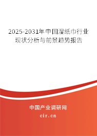 2025-2031年中國(guó)濕紙巾行業(yè)現(xiàn)狀分析與前景趨勢(shì)報(bào)告