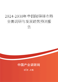 2024-2030年中國破碎錘市場全面調研與發展趨勢預測報告