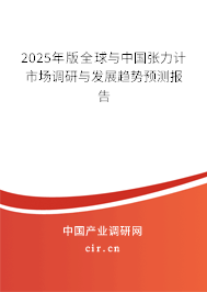 2025年版全球與中國張力計(jì)市場(chǎng)調(diào)研與發(fā)展趨勢(shì)預(yù)測(cè)報(bào)告