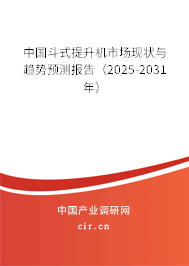 中國斗式提升機市場現狀與趨勢預測報告（2025-2031年）