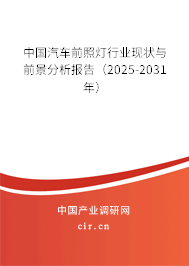 中國汽車前照燈行業現狀與前景分析報告（2025-2031年）