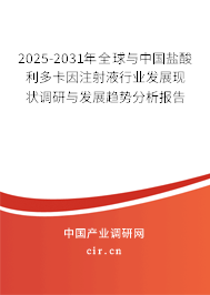 2024-2030年全球與中國鹽酸利多卡因注射液行業(yè)發(fā)展現(xiàn)狀調(diào)研與發(fā)展趨勢分析報告