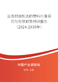 云南初級形態的塑料行業研究與前景趨勢預測報告（2024-2030年）