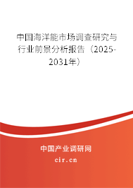 中國(guó)海洋能市場(chǎng)調(diào)查研究與行業(yè)前景分析報(bào)告（2025-2031年）