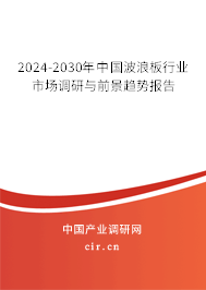 2024-2030年中國波浪板行業市場調研與前景趨勢報告