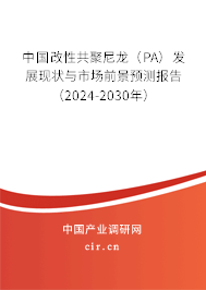 中國改性共聚尼龍（PA）發展現狀與市場前景預測報告（2024-2030年）