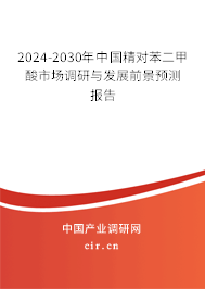 2024-2030年中國精對苯二甲酸市場調(diào)研與發(fā)展前景預(yù)測報(bào)告