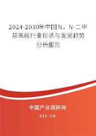 2024-2030年中國N，N-二甲基苯胺行業現狀與發展趨勢分析報告