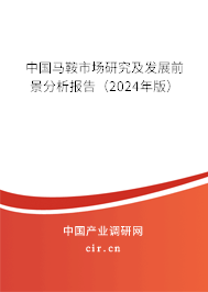 中國馬鞍市場研究及發展前景分析報告（2024年版）