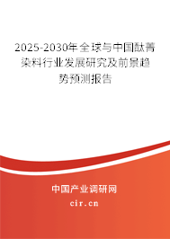 2025-2030年全球與中國酞菁染料行業(yè)發(fā)展研究及前景趨勢(shì)預(yù)測(cè)報(bào)告