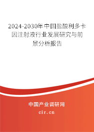 2024-2030年中國鹽酸利多卡因注射液行業(yè)發(fā)展研究與前景分析報告