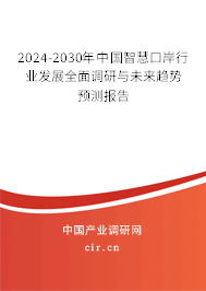 2024-2030年中國(guó)智慧口岸行業(yè)發(fā)展全面調(diào)研與未來(lái)趨勢(shì)預(yù)測(cè)報(bào)告