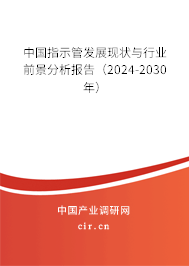 中國指示管發展現狀與行業前景分析報告（2024-2030年）