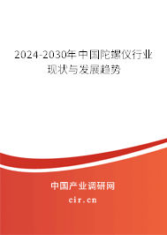 2024-2030年中國陀螺儀行業(yè)現(xiàn)狀與發(fā)展趨勢