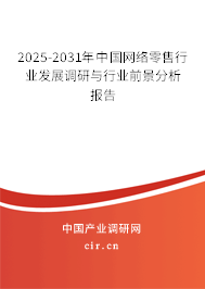 2024-2030年中國網絡零售行業發展調研與行業前景分析報告