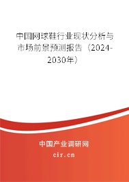 中國網球鞋行業現狀分析與市場前景預測報告（2024-2030年）